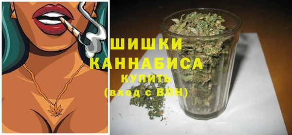 мдпв Богородск