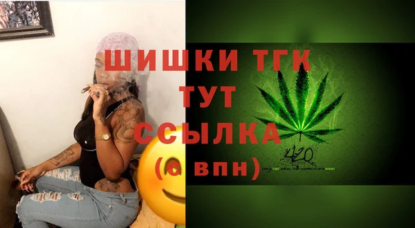 мдпв Богородск