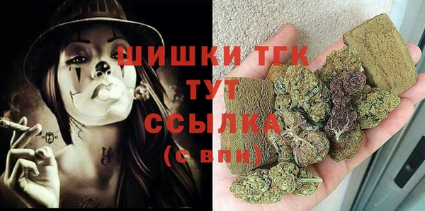 мдпв Богородск
