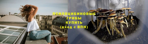2c-b Богородицк