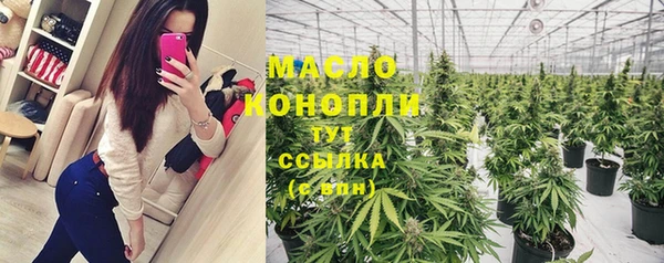мдпв Богородск