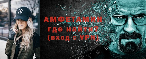 мдпв Богородск