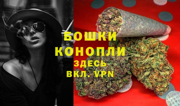мдпв Богородск